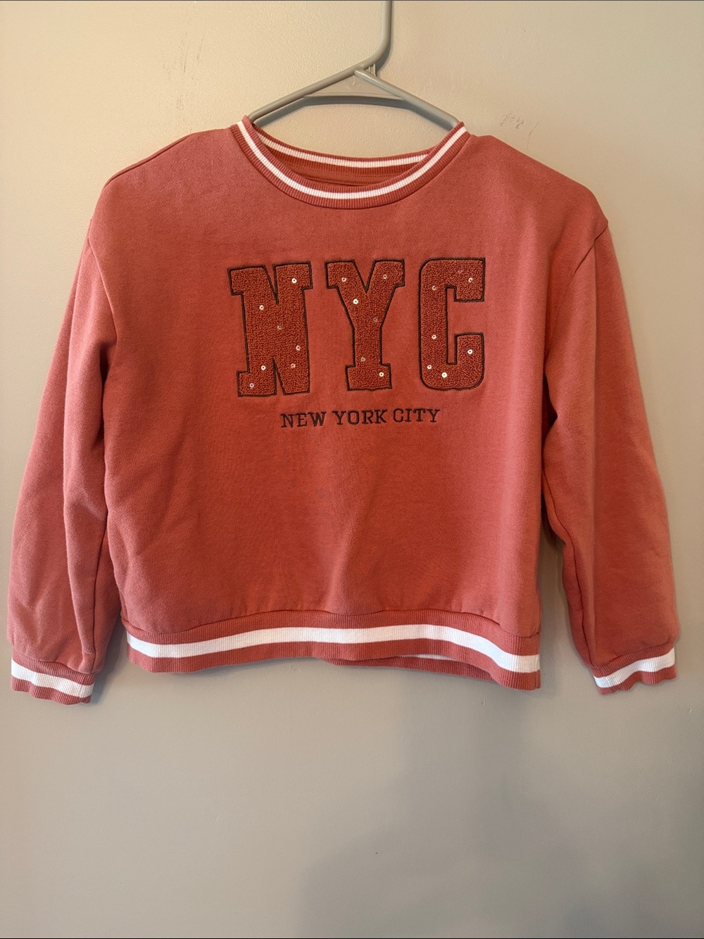 Rachel Zoe Dusty Rose NYC Embellished Crewneck Sweatshirt, Size L 10/12